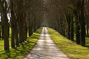 secluded country road