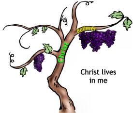 We have the very life of Christ in us