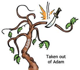 We were cut off from Adam