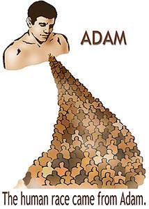 Adam was the head of the human family
