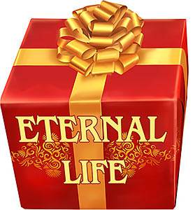 in the Bible we are told that eternal life is a gift