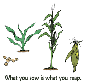 What you sow is what you reap.