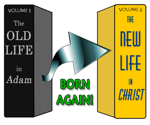 The history of every Christian can be looked at as being in two volumes: 'The Old Life in Adam' and 'The New Life in Christ.'