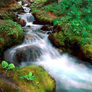 He that believes on Me, as the Scripture has said, from within him shall flow rivers of living water