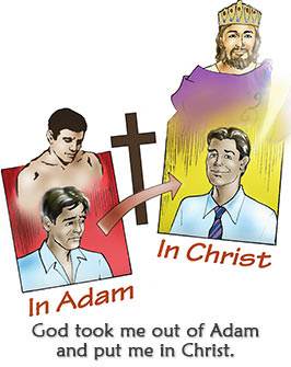 God took me out of Adam and put me in Christ